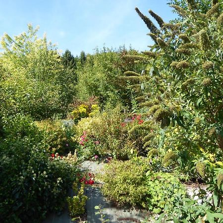 Dans un jardin Villa Apremont-la-Foret Bagian luar foto