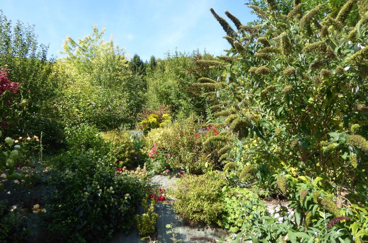 Dans un jardin Villa Apremont-la-Foret Bagian luar foto
